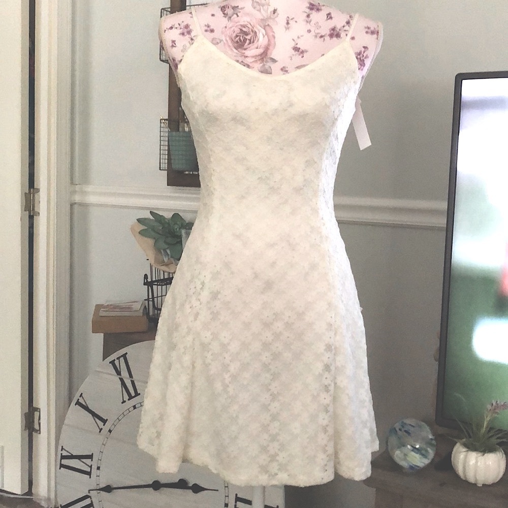 Lord & Taylor - Design Lab Lace Dress. NWT